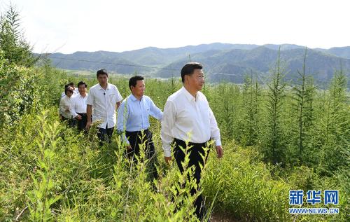 再到内蒙古 习近平明晰中国“绿色发展”路径