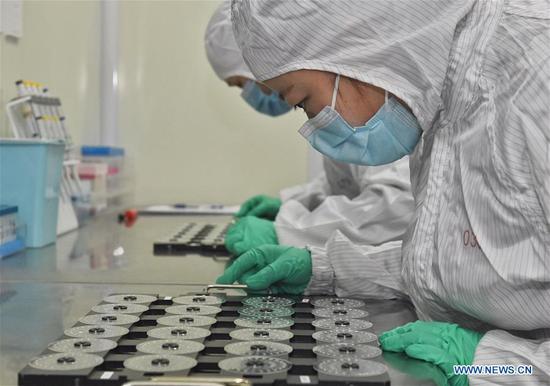 Staff process nucleic acid test chip at the plant of a Chengdu-based biotech company in southwest China's Sichuan Province, Feb. 24, 2020.