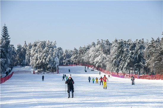 借“冬”风_打造都市冰雪经济高质量发展的长春样本