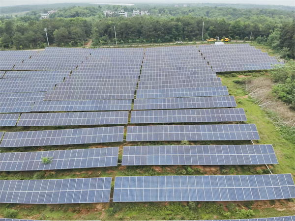 State Grid Jinxian County Power Supply Company: Serving Agricultural Photovoltaic Complementary Facilities and Boosting Rural Revitalization