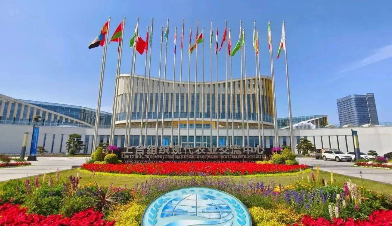 王毅介绍上合组织天津峰会八大成果