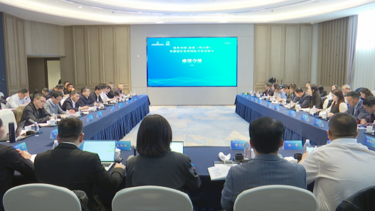 向海图强“绿”动未来！绿色中国·南通（洋口港）零碳园区建设国际合作对接会举行